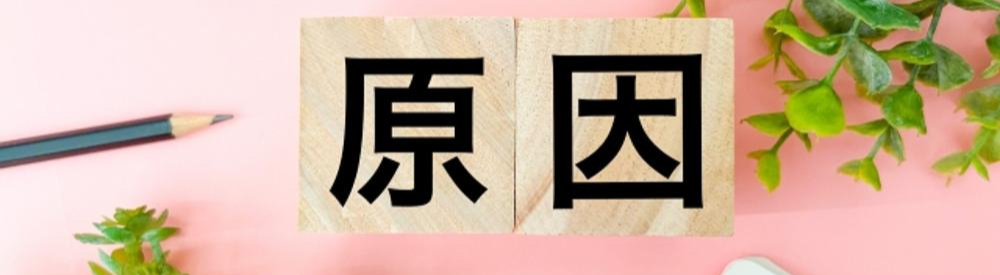「まとめ」と書かれたブロックとナチュラルな植物の背景
