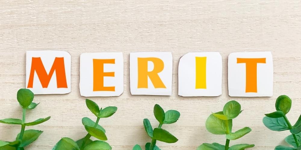 「MERIT」の文字と緑の植物が背景にある爽やかな印象の画像