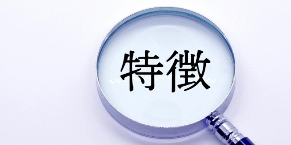 虫眼鏡で「特徴」という漢字を拡大しているイメージ